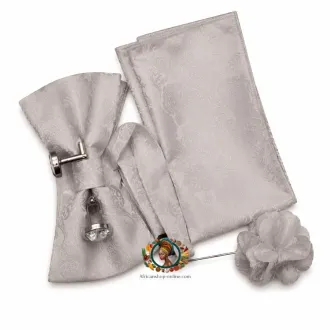 Noeuds papillons blanc