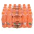 Orange splash 24x300ml