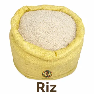 Riz