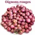 Oignons Rouge