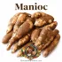 Manioc