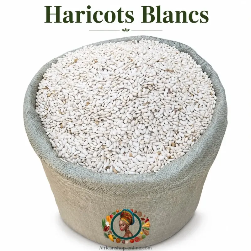 Haricot Blancs