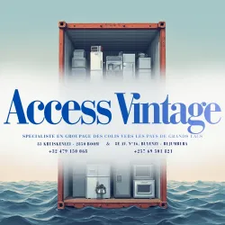 Access Vintage 
